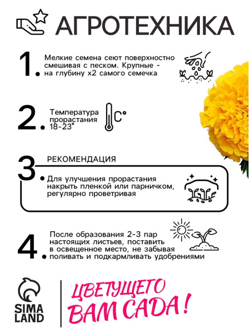 Семена цветов Бархатцы прямостоячие «Лимонное чудо», 0.3 г
