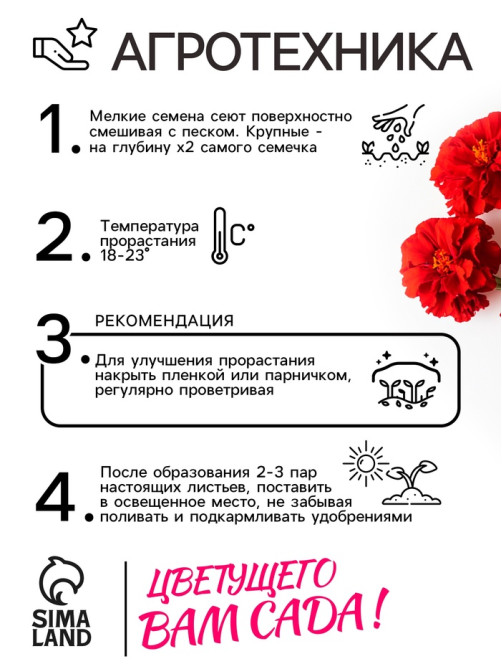 Семена цветов Бархатцы отклонённые «Мерседес», 0.1 г, «Рецепты дедушки Никиты»