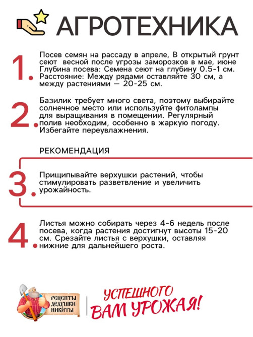 Семена Базилик овощной «Арарат», 0.2 г, «Рецепты дедушки Никиты»