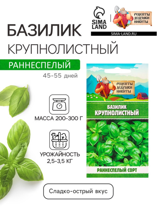 Семена Базилик «Крупнолистный», 0.2 г, «Рецепты дедушки Никиты»