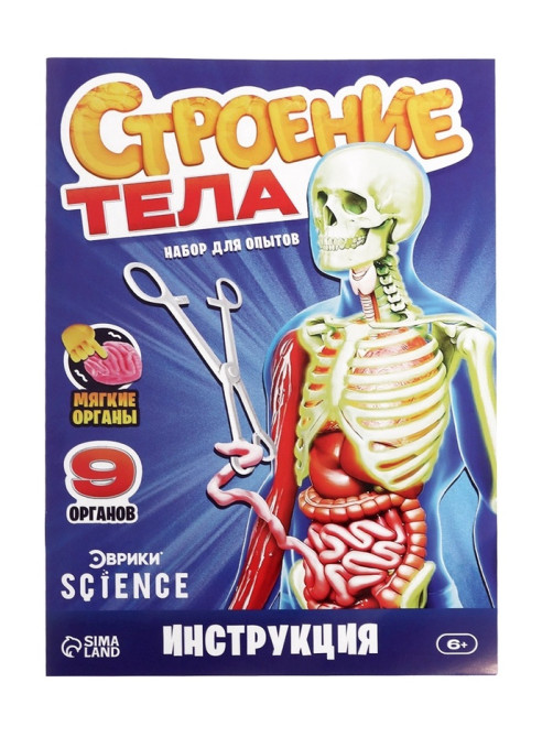 Набор для опытов по анатомии «Строение тела», светится в темноте, с мягкими органами