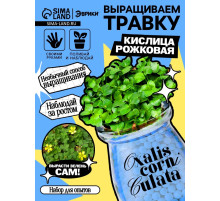 Набор для опытов «Выращиваем травку», своими руками, голубой