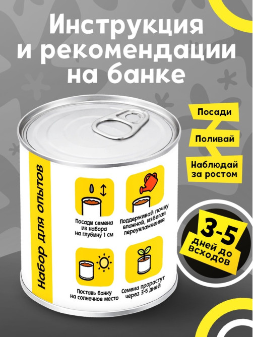 Набор для опытов ЭВРИКИ «Мой мини-сад», подсолнух