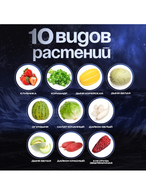 Набор для опытов «Моя мини-ферма», выращивание растений, в космосе