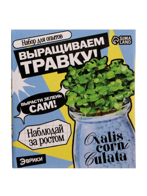 Набор для опытов «Выращиваем травку», своими руками, голубой