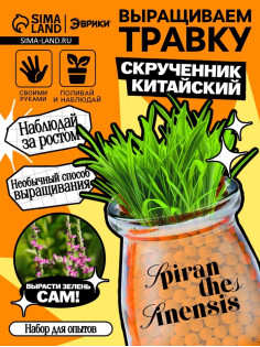 Набор для опытов «Выращиваем травку», своими руками, оранжевый