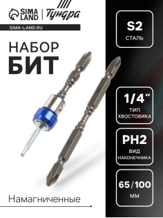 Набор бит ТУНДРА, сталь S2, круглый магнит, двухсторонняя, PH2×65 и 100 мм, 2 шт.