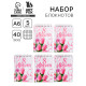 Блокнот А6, 40 л., набор из 5 шт. «С 8 марта»