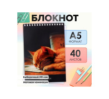 Блокнот А5, 40 листов в клетку на гребне «Соня», обложка мелованный картон, матовая ламинация, выборочный УФ-лак, блок офсет
