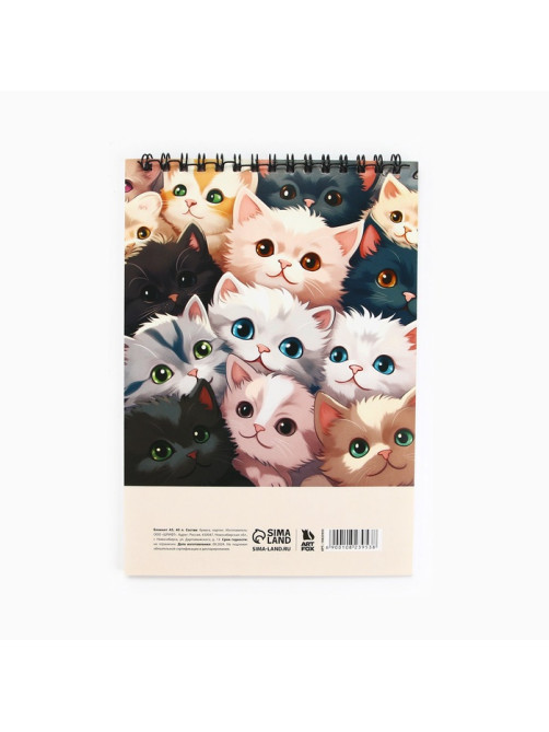 Блокнот А5, 40 л., обложка картон «Коты»