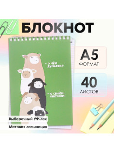 Блокнот А5, 40 листов в клетку на гребне «Фразы», обложка мелованный картон, матовая ламинация, выборочный УФ-лак, блок офсет
