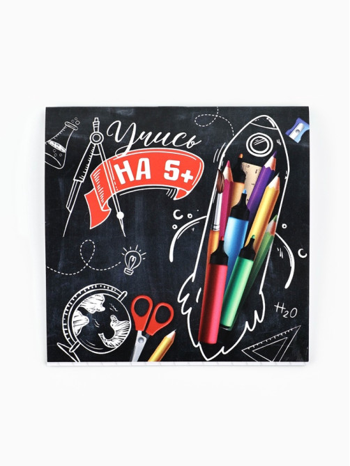 Блокнот 10×10, 16 листов в клетку «Учись на 5+