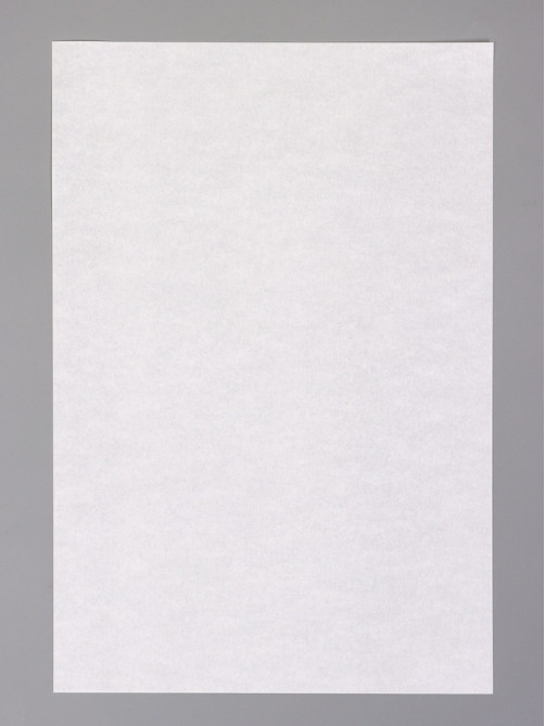 Бумага для выпечки пергаментная UPAK LAND, в листах, 20×30 см, белая
