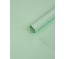 Бумага упаковочная крафт «Зелёный пастель», 50×70 см