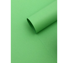 Бумага упаковочная крафт «Зеленый»,50×70 см