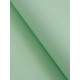 Бумага упаковочная крафт «Зелёный пастель», 50×70 см