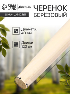 Черенок берёзовый, d=40 мм, длина 120 см, 1 сорт, Greengo
