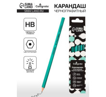 Карандаш чернографитный Calligrata, HB, шестигранный, пластиковый, зелёный корпус