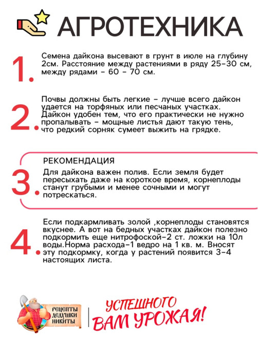 Семена Дайкон «Нацукаши», 1 г, «Рецепты дедушки Никиты»