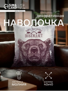 Наволочка декоративная «Этель. Победитель», 40×40 см, велюр