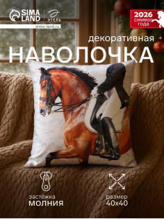 Наволочка декоративная «Этель. Грация», 40×40 см, велюр
