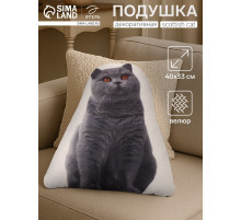 Подушка декоративная «Этель» Scottish cat, 40×33 см, велюр