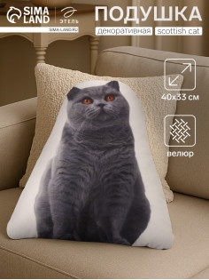 Подушка декоративная «Этель» Scottish cat, 40×33 см, велюр