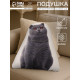 Подушка декоративная «Этель» Scottish cat, 40×33 см, велюр