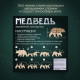 Деревянный конструктор Лесная мастерская «Медведь», размер 12×23 см, гирлянда в комплекте