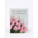 Открытка-мини «Прекрасной тебе», 8×6 см