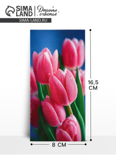 Конверт для денег «Красивые цветы», 16.5×8 см
