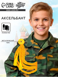 Карнавальный аксельбант «Парадный», золотой
