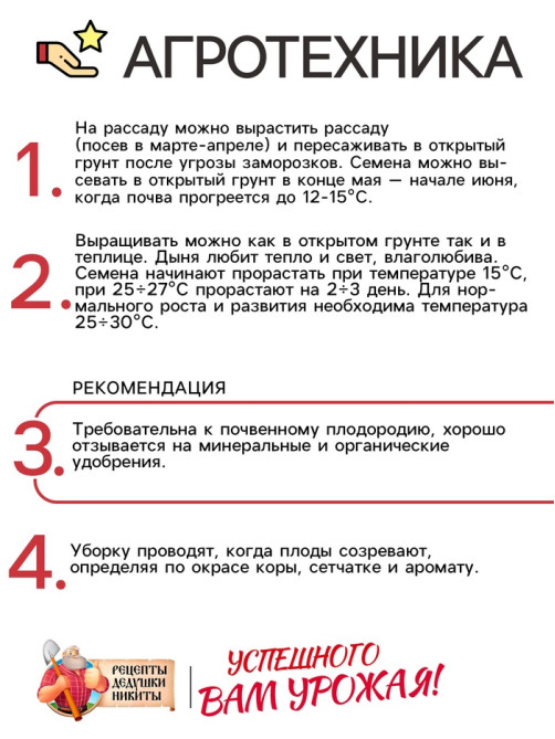 Семена Дыня «Бест Джумбо», 1 г, «Рецепты дедушки Никиты»