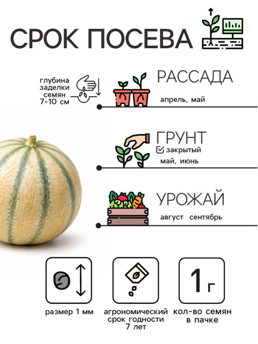 Семена Дыня «Бест Джумбо», 1 г, «Рецепты дедушки Никиты»