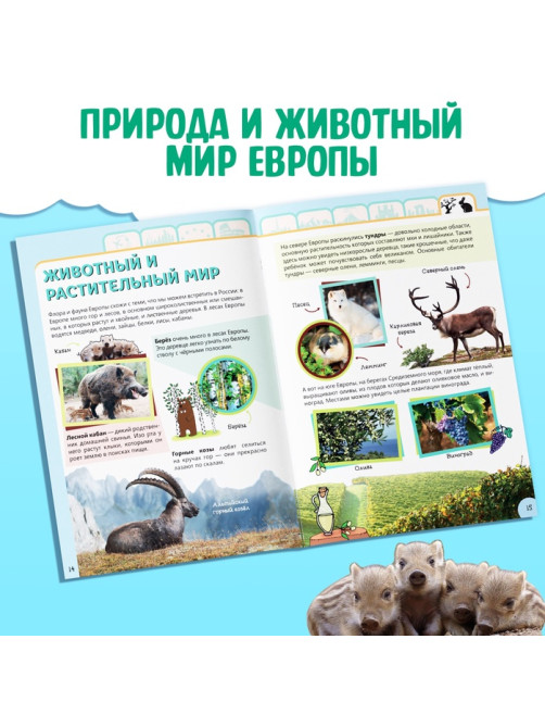 Энциклопедия детская «Европа», 16 стр., 5+