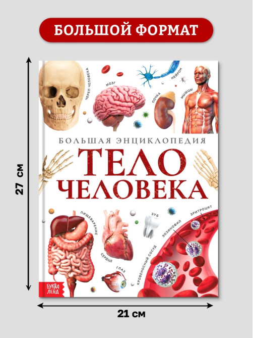 Энциклопедия в твёрдом переплёте «Строение тела человека», 128 стр.