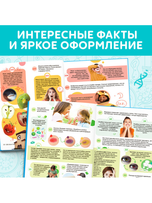 Энциклопедия в твёрдом переплёте «200 фактов о теле человека», 48 стр.