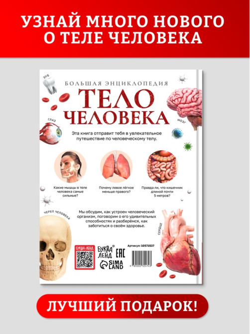 Энциклопедия в твёрдом переплёте «Строение тела человека», 128 стр.