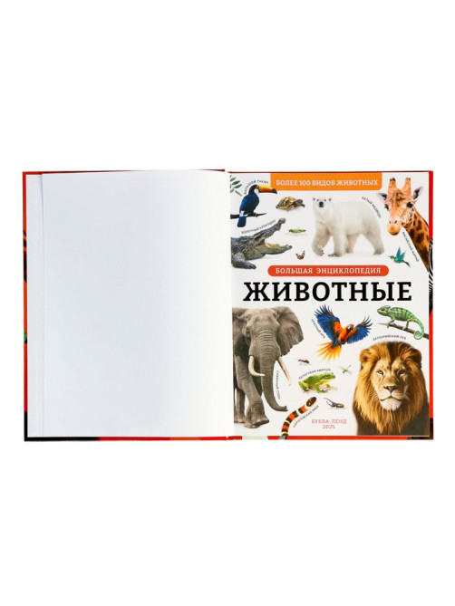 Энциклопедия с дополненной реальностью «Животные», 128 стр.
