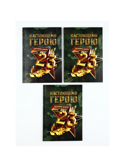 Ежедневник А5, 80 л., мягкая обложка, набор 3 шт. «Настоящему герою»