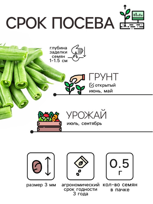 Семена Фасоль спаржевая «Сакса без волокна 615», 3 г, «Рецепты дедушки Никиты»