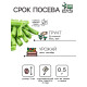 Семена Фасоль спаржевая «Сакса без волокна 615», 3 г, «Рецепты дедушки Никиты»