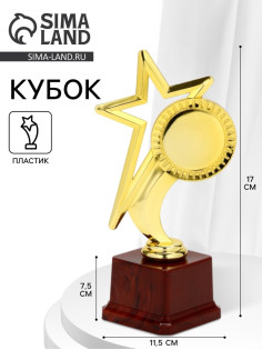 Наградная фигура под нанесение «Звезда», подставка пластик