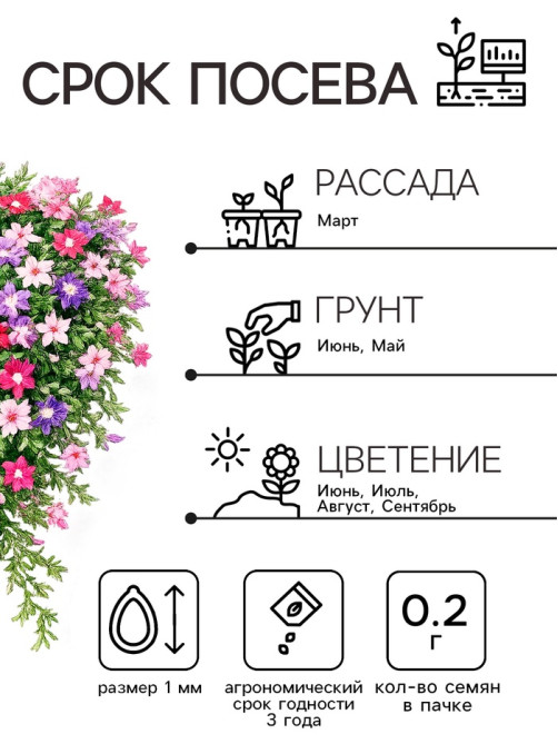 Семена цветов Флокс «Звездный дождь», смесь окрасок, 0.2 г, «Рецепты дедушки Никиты»