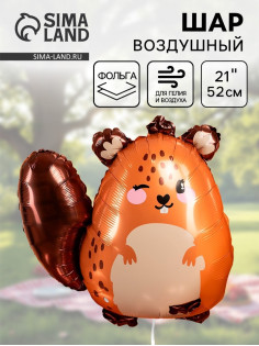 Воздушный шар фольгированный 21