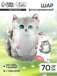 Воздушный шар фольгированный 28