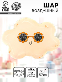 Воздушный шар фольгированный 23
