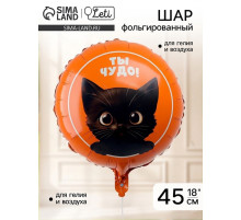 Воздушные шары фольгированные 18 «Котик. Ты чудо», 5 шт.