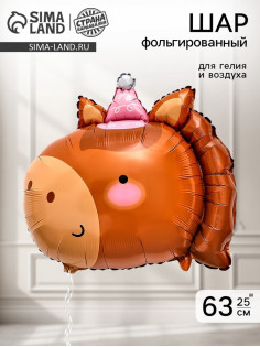 Воздушный шар фольгированный 25