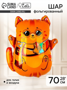 Воздушный шар фольгированный 28
